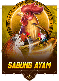 cockfight